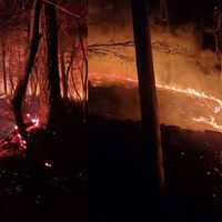 Falling Powerline Sparks Morris County Brush Fire, Wildfires Rage Across NJ