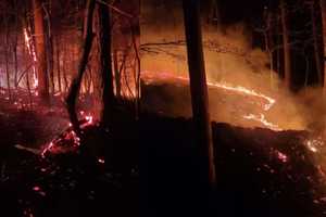 Falling Powerline Sparks Washington Township Brush Fire, Wildfires Rage Across NJ