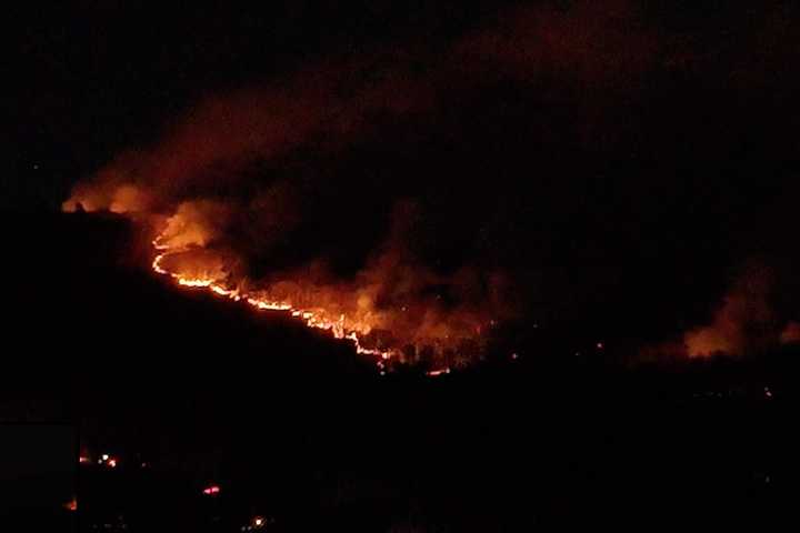 18-Year-Old Parks Worker Dies Battling Wildfire At Sterling Forest