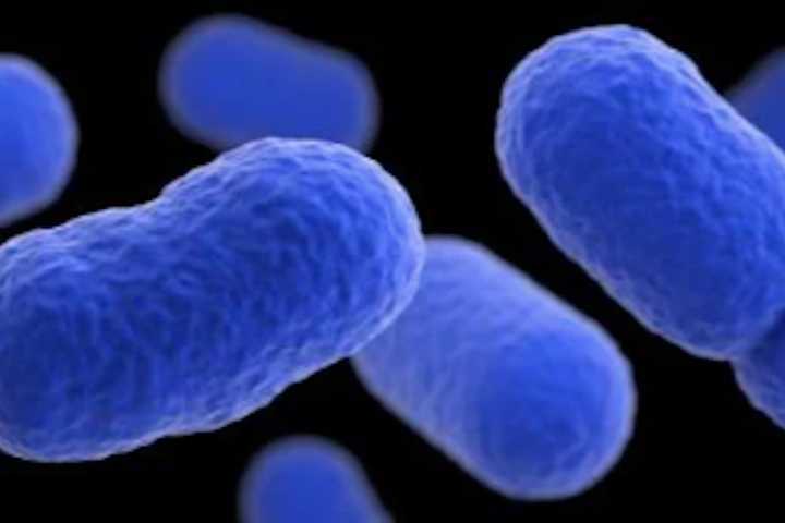 Infant Dies, 10 Others Sickened In Listeria Outbreak Involving Meat, Poultry Products