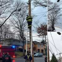 Truck Takes Down Cables In Kenilworth