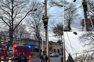 Truck Takes Down Cables In Kenilworth