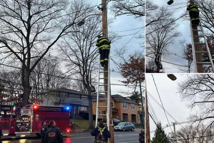 Truck Takes Down Cables In Kenilworth