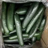 Cucumbers, Eggs Recalled Due To Risk Of Salmonella Contamination