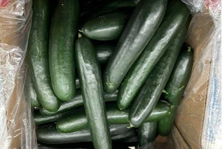 Cucumbers, Eggs Recalled Due To Risk Of Salmonella Contamination