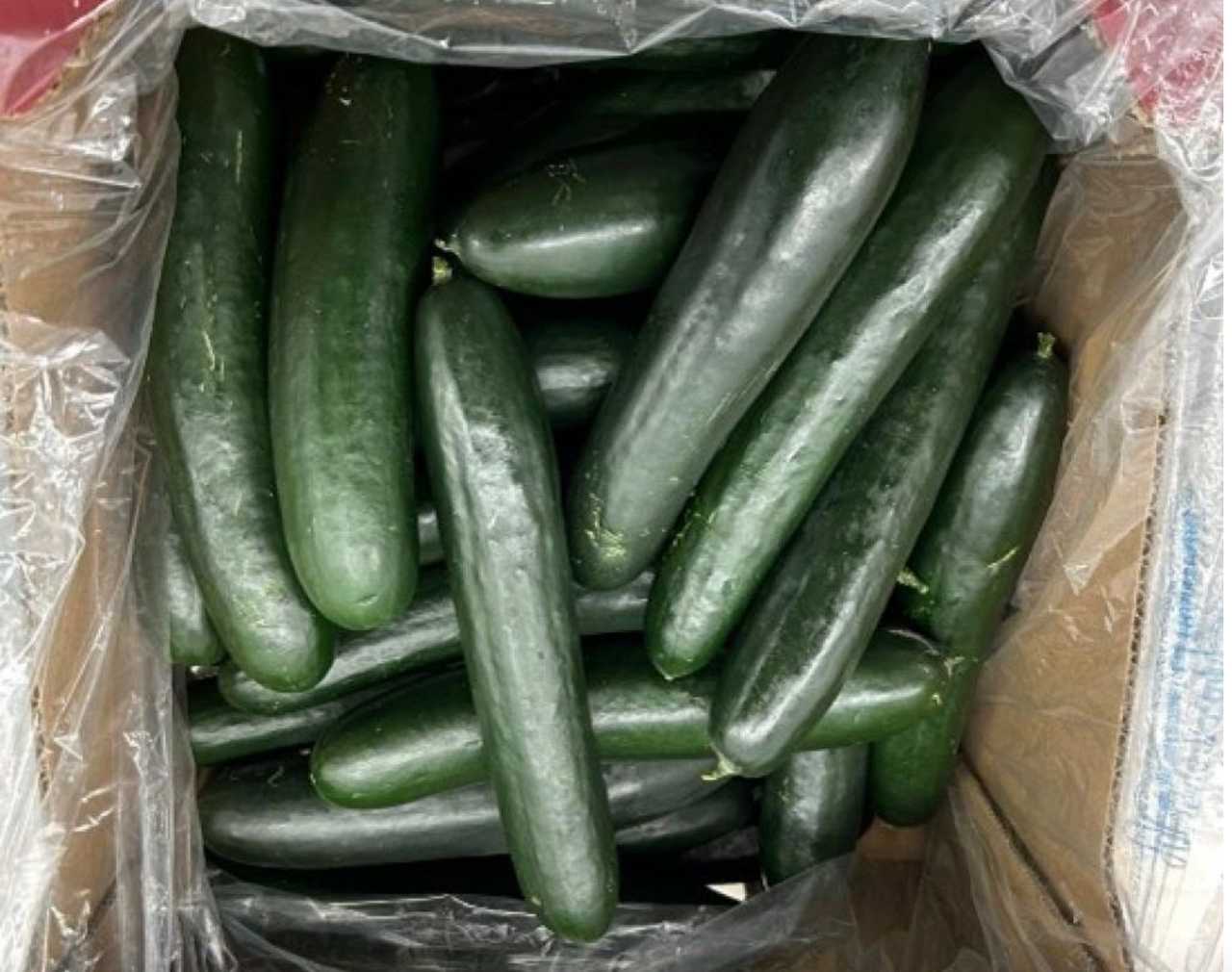 Cucumbers, Eggs Recalled Due To Risk Of Salmonella Contamination