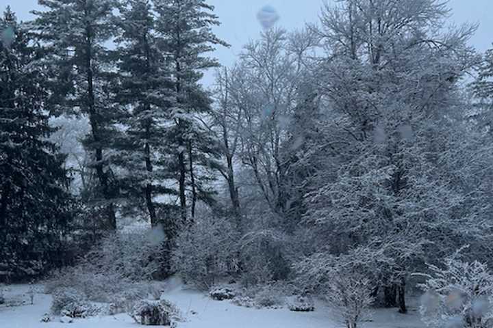 Here's How Much Snow Fell In Waterbury