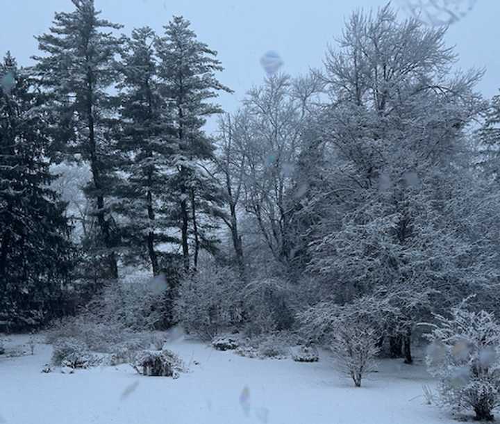 Snowfall in West Hartford, CT