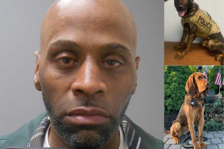 DUI Driver Rams Police K9 Vehicle Containing Two Dogs In Bergen County: Police