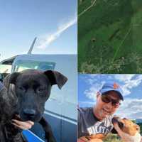 NTSB Report Sheds Light On Windham Plane Crash That Killed Pilot, Animal Rescuer