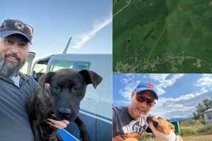 NTSB Report Sheds Light On NY Plane Crash That Killed VA Pilot, Animal Rescuer