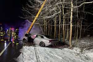 Kia Cracks Utility Pole, Bursts Into Flames After Hitting Icy Patch In NJ Town: Cops