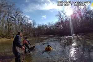 Woman, Two Dogs Rescued After Being Submerged In Water: Gloucester PD