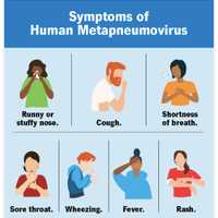 Human Metapneumovirus | Cape Saint Claire Daily Voice