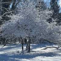 Here's Who Got The Most Snow In New Jersey: See The Town By Town Totals