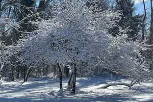 These Towns Got The Most Snow In CT: Winter Storm Brings 6 Inches Across The State