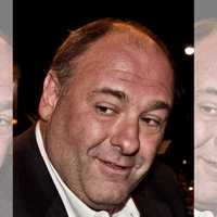 James Gandolfini Service Area Sets Opening Date After Renovations