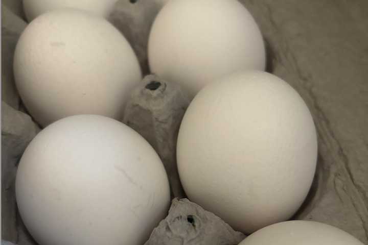 Egg Prices Now Expected To Rise Twice As High As Earlier Projections In 2025