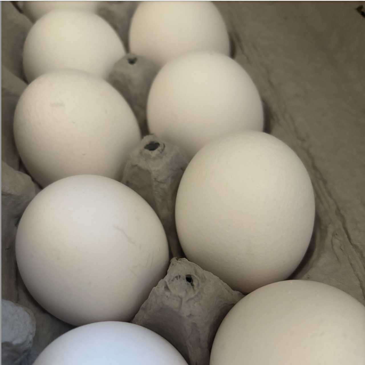 Egg Prices Now Expected To Rise Twice As High As Earlier Projections In ...