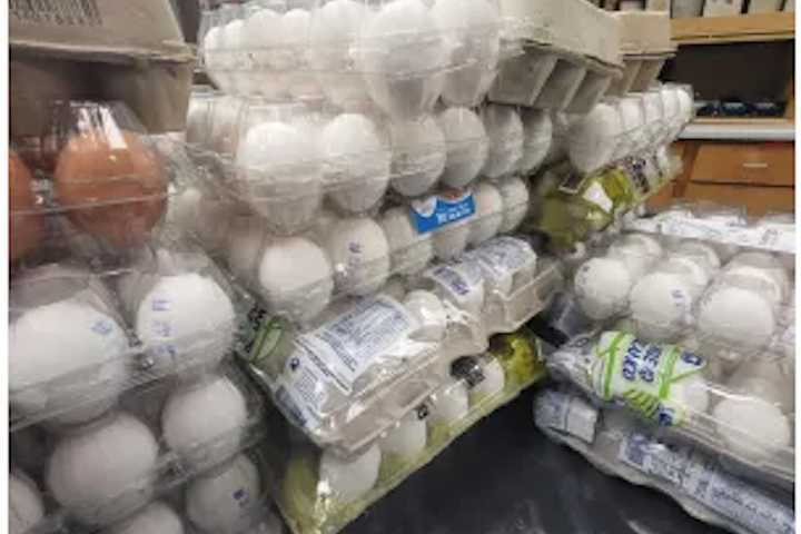 US Cracking Down On Egg Smuggling From Mexico As Prices Soar