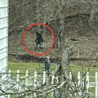 Did Bigfoot Photobomb Weather Service Pic in Pennsylvania? Most Aren’t Buying It