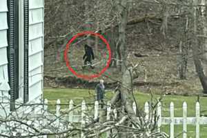 Did Bigfoot Photobomb Weather Service Pic in Pennsylvania? Most Aren’t Buying It