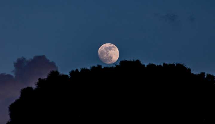 Known as the Pink Moon, this stunning lunar event will rise in the east at dusk, illuminating the evening with its ethereal glow on Saturday, April 12. 