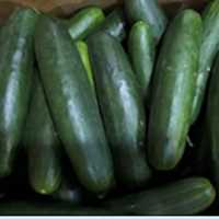 45 Sickened, 16 Hospitalized As Salmonella Outbreak In Cucumbers Expands To 18 States