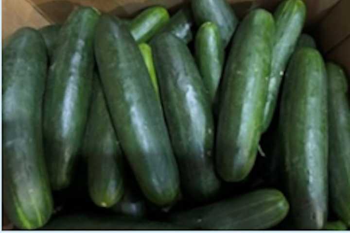 45 Sickened, 16 Hospitalized As Salmonella Outbreak In Cucumbers Expands To 18 States