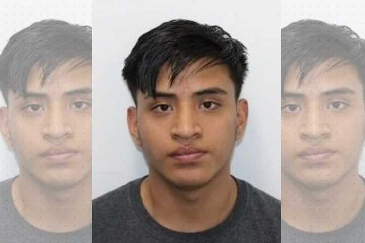 PalPark Man Sexually Assaulted Child: Prosecutor