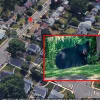 Bear Kills Deer In NJ Backyard, Police Say