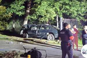 DWI Driver Kills 4-Year-Old Girl, Seriously Injures 3 Others Leaving Rockland County Park: Cops