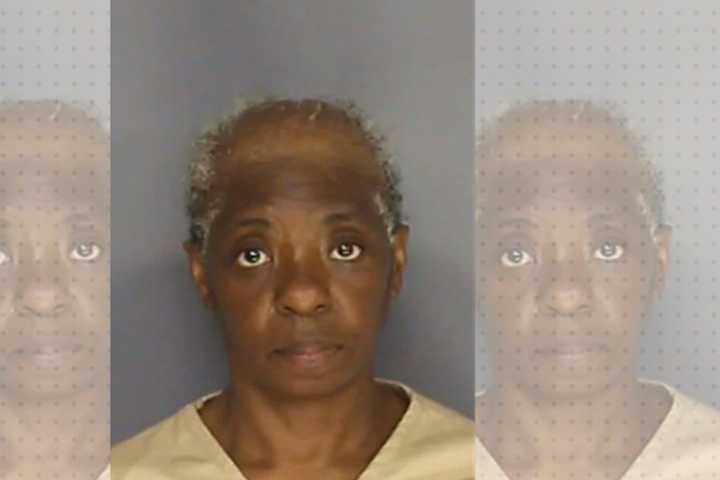 Newark Woman Hit With 29 Charges In $600K Real Estate, Rent Scam Spree

Newark Wom
