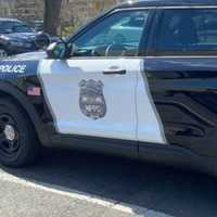 Tree Crushes SUV, Kills 44-Year-Old Middlesex Woman During Storm, Police Say