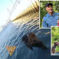 NJ State Troopers Rescue 'Ferocious Little Demon' Dog In Dramatic Footage