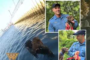 NJ State Troopers Rescue 'Ferocious Little Demon' Dog In Dramatic Footage