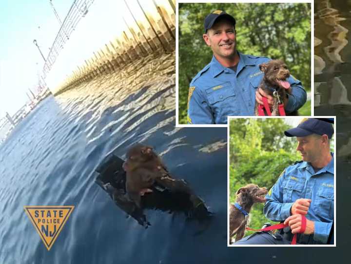 Two officers helped rescue a dog, named after the famed Sesame Street character, from the Arthur Kill in Elizabeth on Saturday, July 6, New Jersey State Police said. 