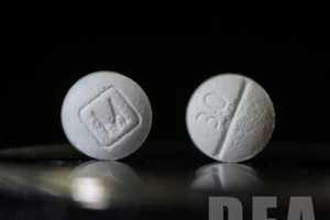 Secaucus Doc Demanded Sex For Oxy, Feds Say: Allegations Detailed In Horrifying Complaint