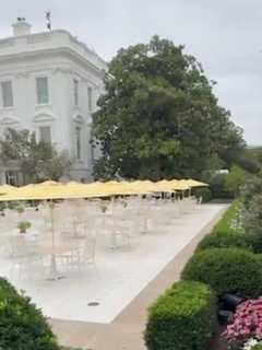 Rose Garden’s Mar-A-Lago Style Revamp With Patio, Umbrellas Draws Mixed Reviews