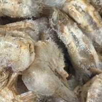 Frozen Shrimp Recall Expands Over Radioactive Contamination Concerns