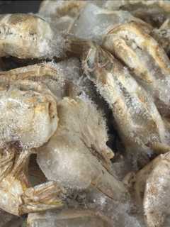 Frozen Shrimp Recall Expands Over Radioactive Contamination Concerns