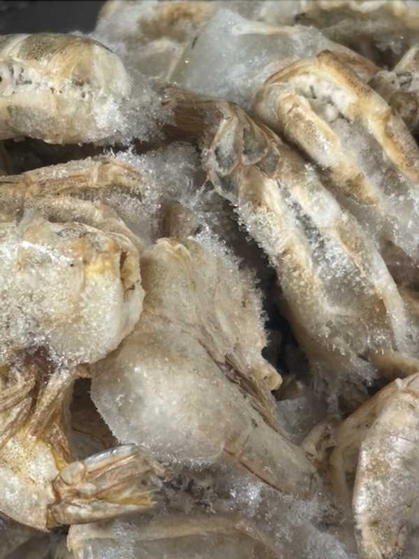 Frozen Shrimp Recall Expands Over Radioactive Contamination Concerns