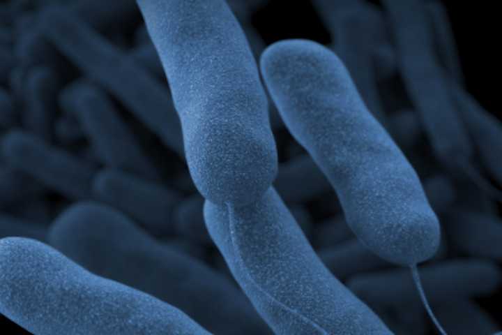 6 Dead In NYC Outbreak Of Legionnaires' Disease