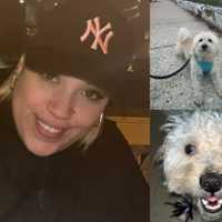 Wrong-Way Speeding Driver Kills Woman, 40, Walking Dog In Newark: Prosecutor