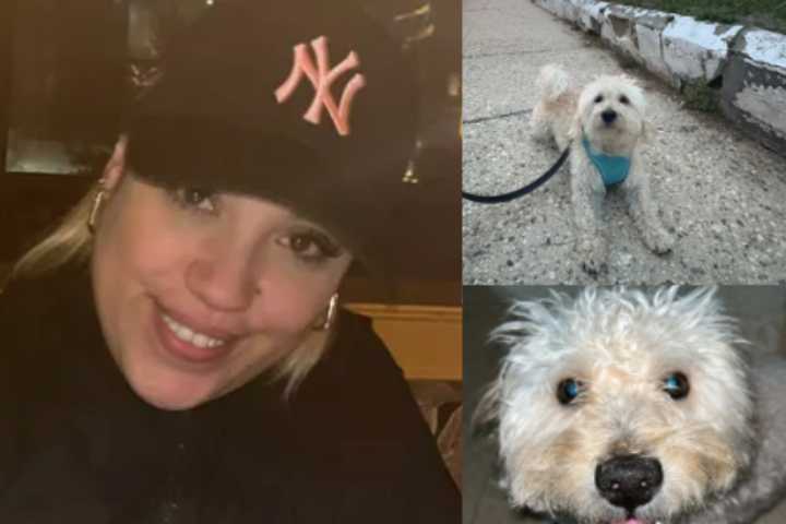 Wrong-Way Speeding Driver Kills Woman, 40, Walking Dog In Newark: Prosecutor