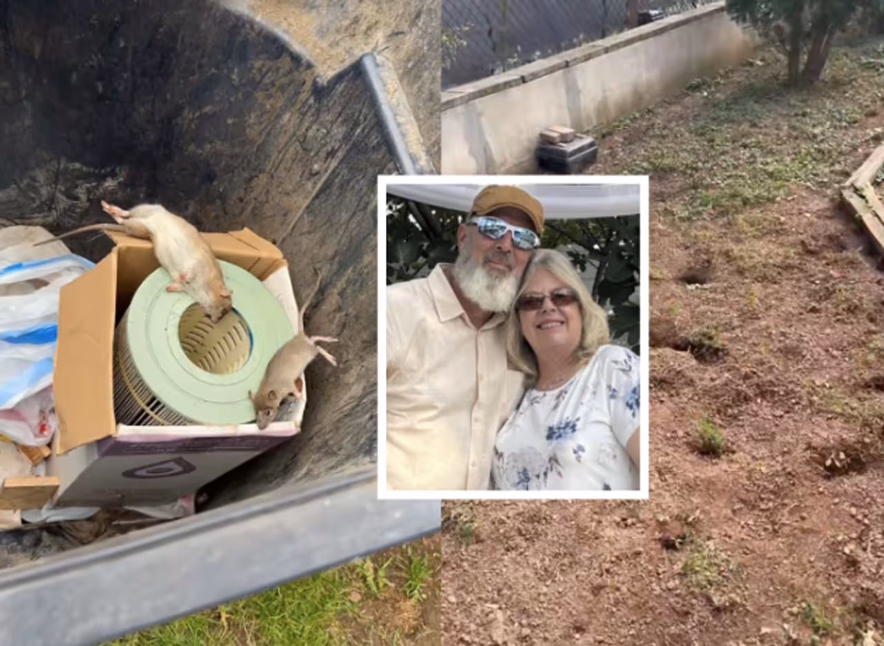 Jamie and Kathy Moravasik's yard is infested with rats, and she says they're coming from a new distribution center next door.
  
 Jamie and Kathy Moravasik's yard is infested with rats, and she says they're coming from a new distribution center next door.