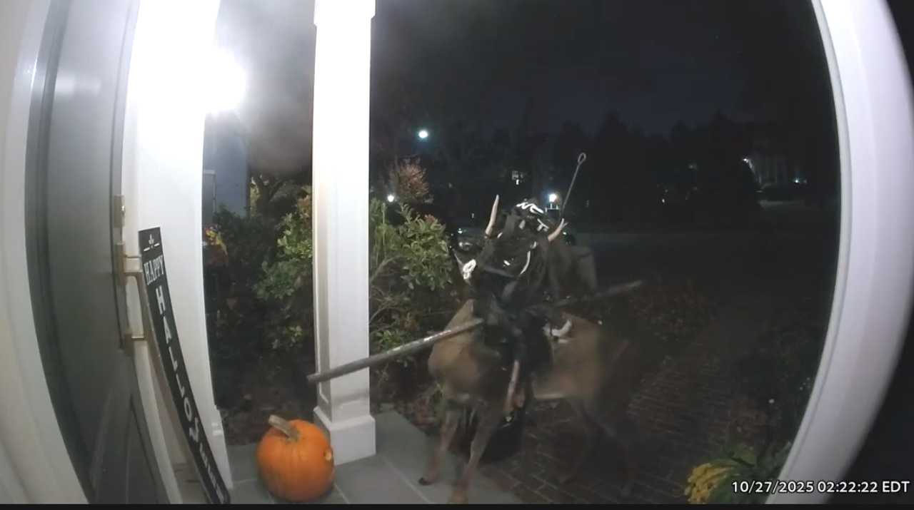 Meredith Greenstein, who lives on Windermere Road, captured the deer on her Ring camera around 2 a.m. Monday, Oct. 27. Meredith Greenstein, who lives on Windermere Road, captured the deer on her Ring camera around 2 a.m. Monday, Oct. 27.