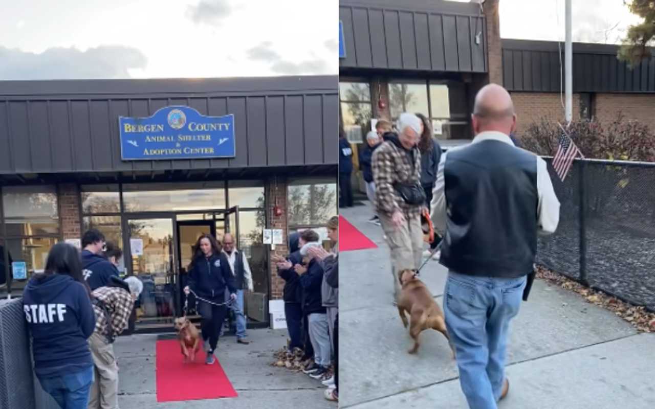 Tiny goes home — but not before saying goodbye to Doris.