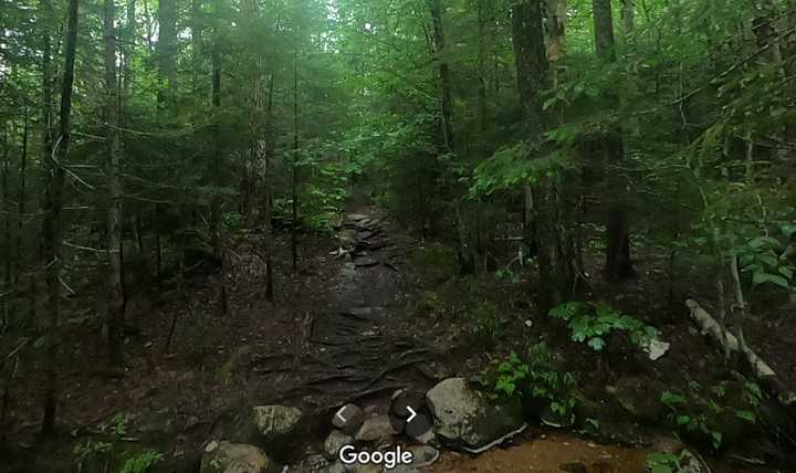 The Greeley Ponds Trail in Lincoln, New Hampshire