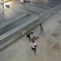 <p>Three of the suspects beating on their victim before others arrived.</p>